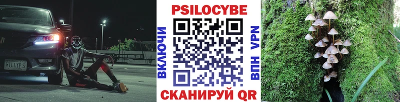 Галлюциногенные грибы GOLDEN TEACHER  Туран 