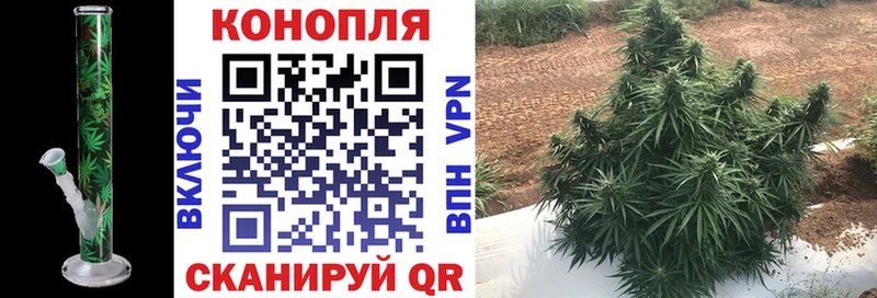 Марихуана OG Kush  гидра сайт  Туран  где купить наркотик 
